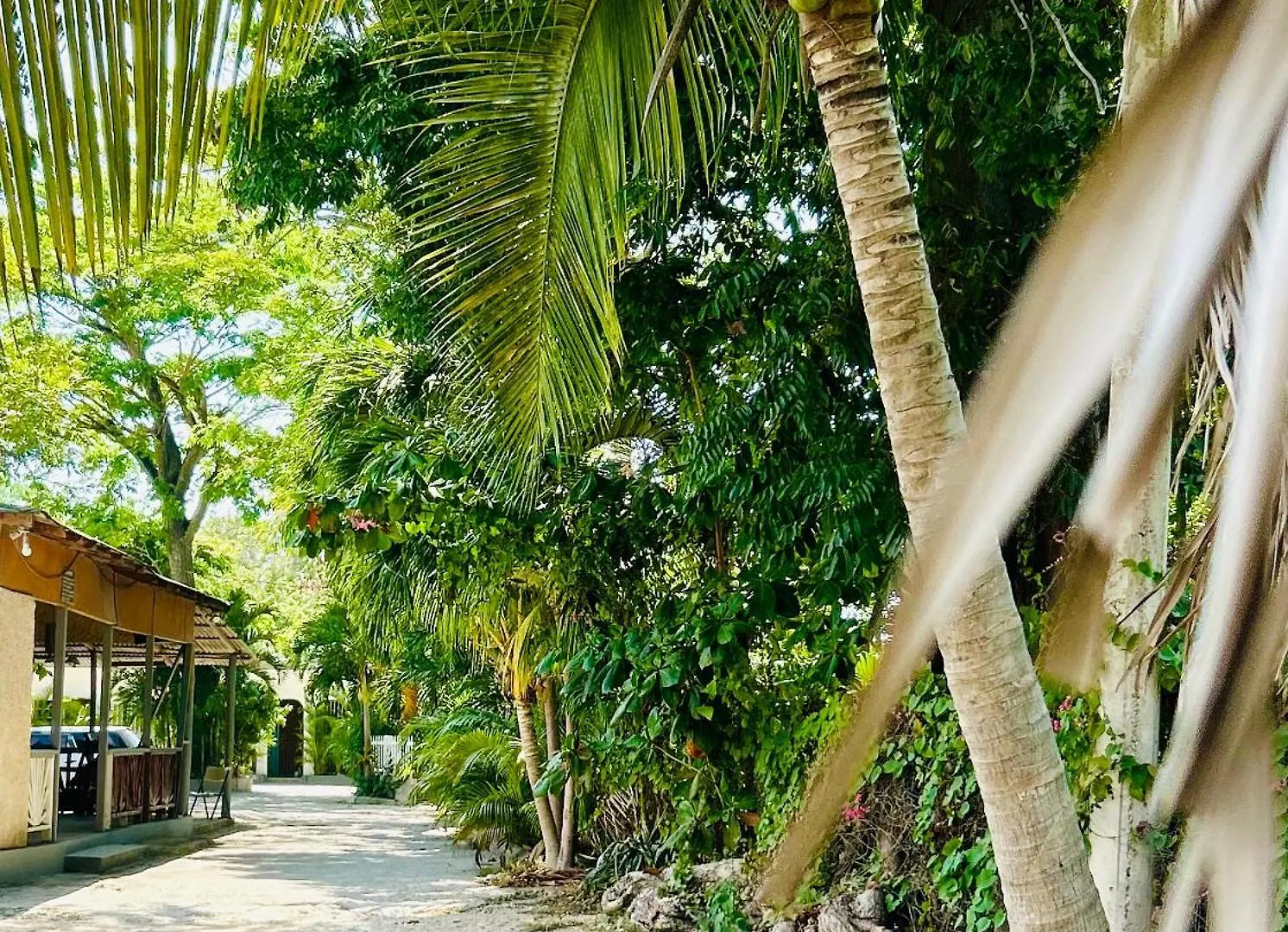 Luxury 1 Bedroom Fully Equipped In West End Negril Lägenhet